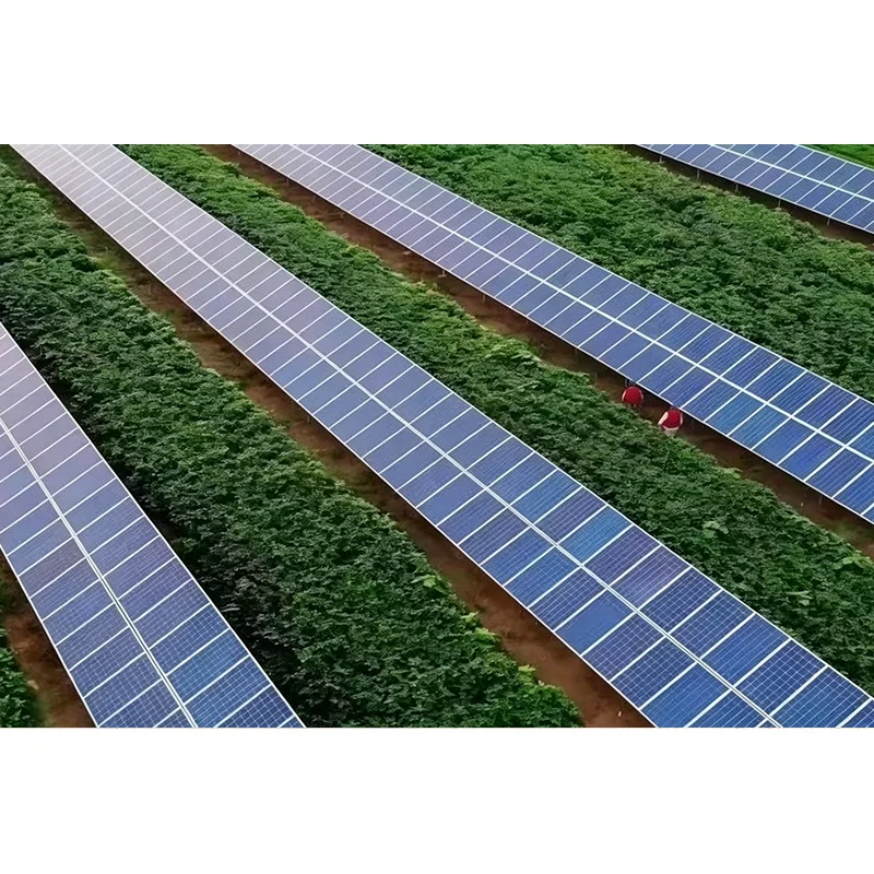Système de suivi solaire incliné à un axe